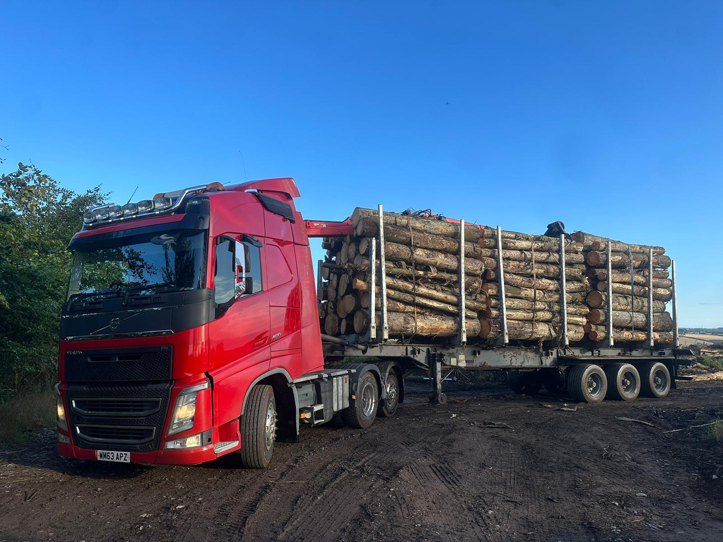 Artic Load Firewood Lengths Deeside Forestry